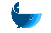 شرکت ازر دیجیتال ارزیتال